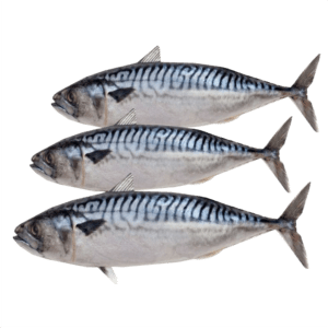 Titus Fish x3 (1kg) - Frozen.