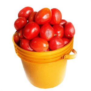 1 Full Custard Rubber of Fresh Tomatoes