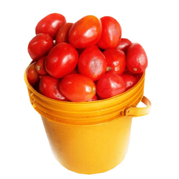 1 Full Custard Rubber of Fresh Tomatoes